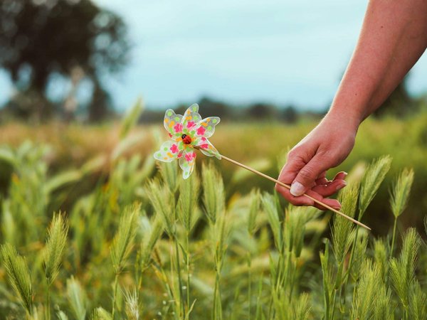 Entretien de votre vélo de montagne : les gestes essentiels